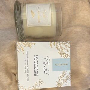 Fallen Snow Botanical Candle - Cream